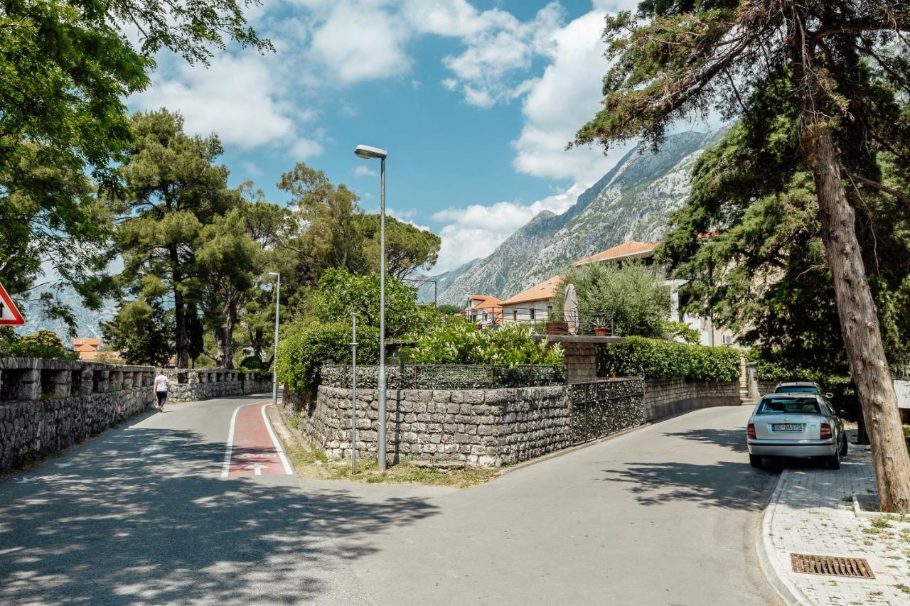 Dabinovic * Kotor